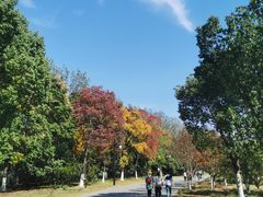 -灵岩山风景区