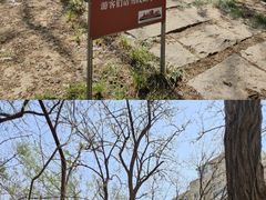 -元大都城垣遗址公园