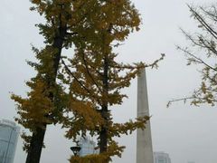 -百林公园-两江幸福广场