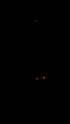 -金美秀瘦身养生