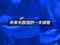 -上海海昌海洋公园-冰山北极馆
