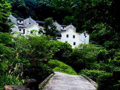 -雁南飞茶田景区