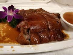 古法烧鹅皇-朱仔记食府(江南大道店)