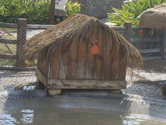 -珠海海泉湾神秘岛亲子乐园