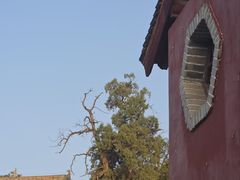 -玉泉观