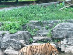 -深圳野生动物园