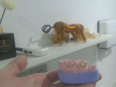 -土豆口腔(凤凰北总店)