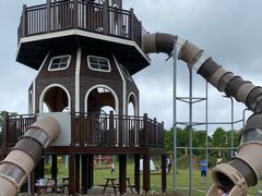 -上海长兴岛郊野公园