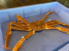 -蟹后Crabber(水悦城店)