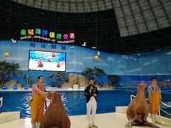 -泉城欧乐堡海洋极地世界