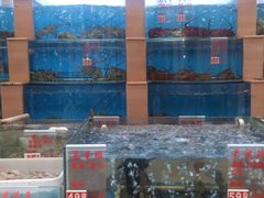 DSC_0453-东方之珠海鲜酒楼(南开店)