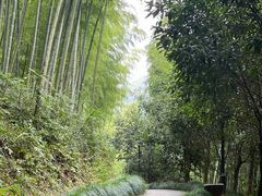 -东明山森林公园