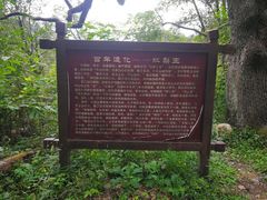 -北京密云天门山风景区