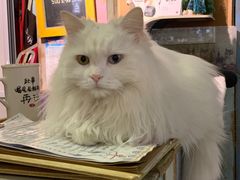 -小时光咖啡馆(开森度假森林店)