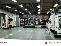 -拳力汇散打搏击泰拳俱乐部(绿地缤纷城店)
