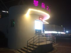 -琴岛之星摩天轮