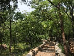 -阳台山自然风景区