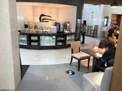 -虹桥机场国航贵宾室v8