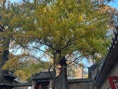 -青岛崂山太清宫