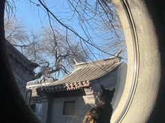 -古耳咖啡(北锣店)