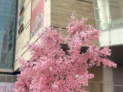 -首开·龙湖成都西宸天街