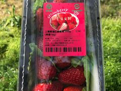 -天王浮山樱花园