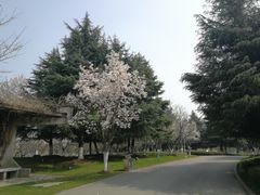 -白塘生态植物园