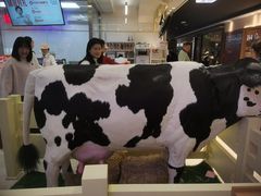 -红星前进面包牛奶公司(君太店)