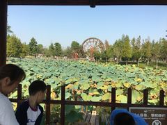 -董永七仙女文化园