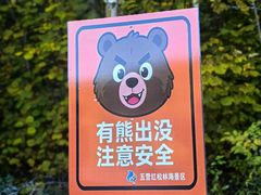 -五营红松林海景区