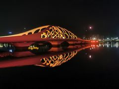 -星光岛