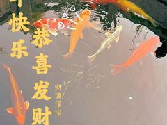 -安多素食(广仁寺路店)