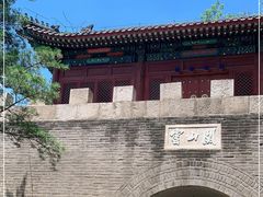 -云岗森林公园
