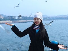 -青岛海滨风景区