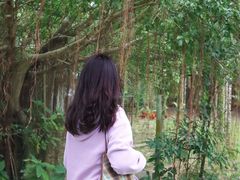 -兴隆槟榔园休闲农庄