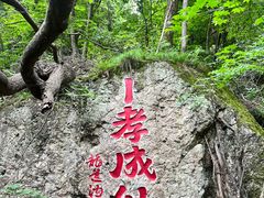 -龙道沟景区