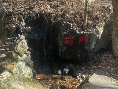 -天女山森林公园