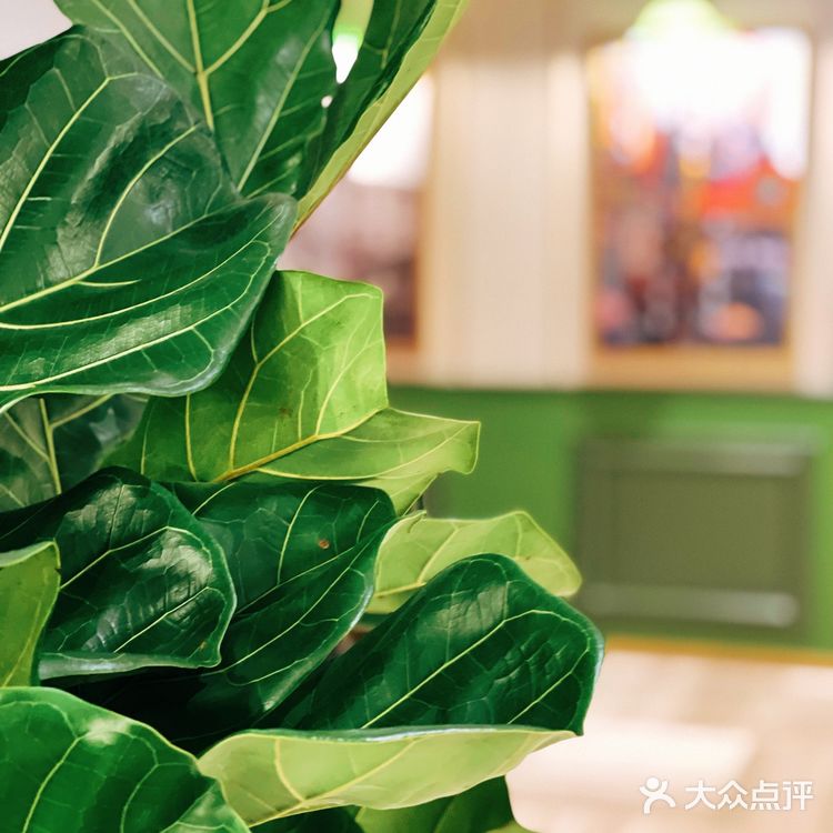 快来！这一道菜竟然用了25只大闸蟹！