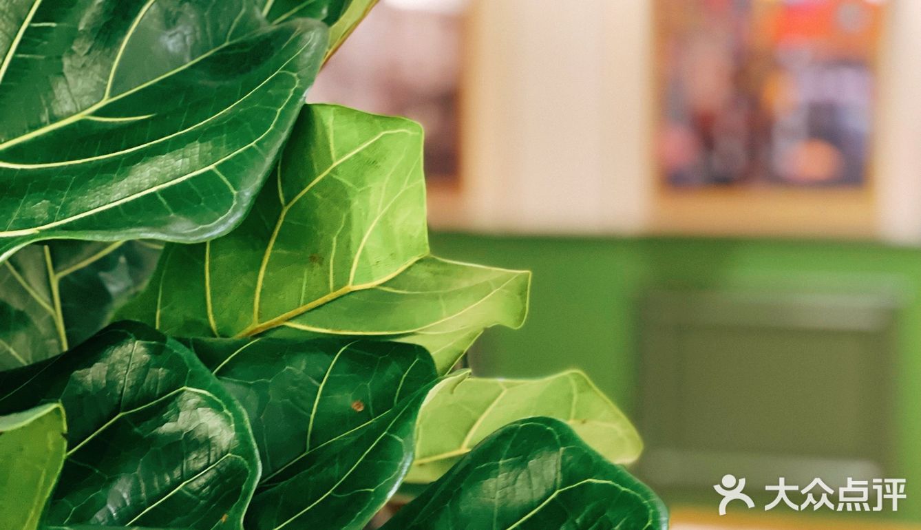 快来！这一道菜竟然用了25只大闸蟹！