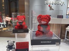 -ROSEONLY诺誓(磐基中心店)