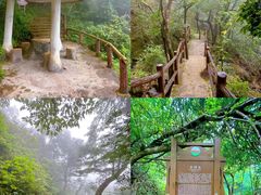 -金子山原生态旅游风景区