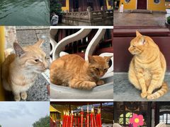 -西园戒幢律寺