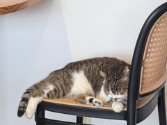 -LOOKA COFFEE(大鹏所城店)