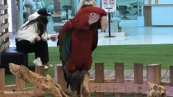 -Zoolung Zoolung动物主题公园(海信广场店)