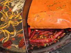 -蜀大侠火锅(总府路店)