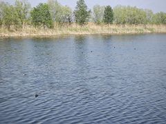 -野鸭湖国家湿地公园