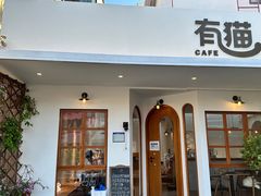 -有猫主题·治愈系猫咖(曾厝垵店)