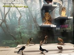 -四川大学博物馆