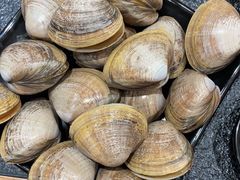 -金达莱烧烤(黎明南街店)