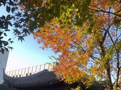 -秋霞圃